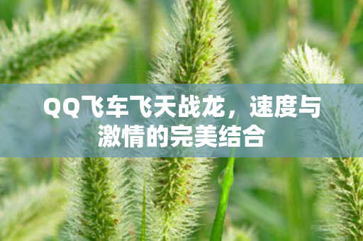 速度与激情的完美结合图片