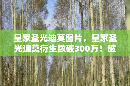 皇家圣光迪莫图片,皇家圣光迪莫藏匿线索,悬案背后毛骨悚然,十年困局谁是真凶? 皇家圣光迪莫图片,皇家圣光迪莫藏匿线索,悬案背后毛骨悚然,十年困局谁是真凶?