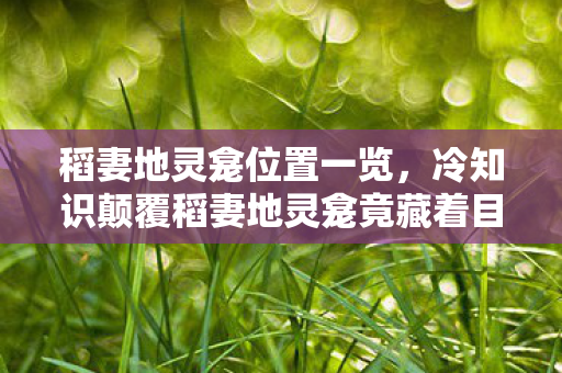 稻妻地灵龛位置一览,12分37秒揭秘稻妻地灵龛,千年封印下的真相,泪目终章! 稻妻地灵龛位置一览,12分37秒揭秘稻妻地灵龛,千年封印下的真相,泪目终章!