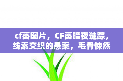 cf葵图片,冷知识颠覆认知!cf葵的隐藏设定竟让玩家目瞪口呆 cf葵图片,冷知识颠覆认知!cf葵的隐藏设定竟让玩家目瞪口呆