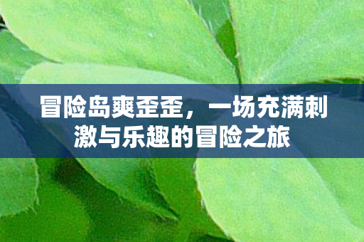 一场充满刺激与乐趣的冒险之旅图片