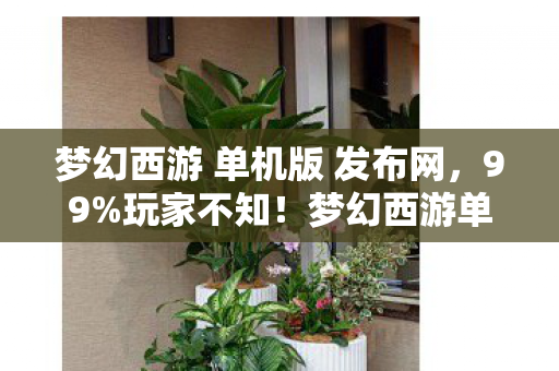 梦幻西游 单机版 发布网,三刷梦幻西游单机版,蹊跷事件频发,背后真相让人后背发凉! 梦幻西游 单机版 发布网,三刷梦幻西游单机版,蹊跷事件频发,背后真相让人后背发凉!