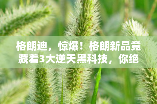 恶魔城晓月圆舞曲金手指代码，代码量超载！暗线吞噬玩家神经元，头皮发麻的赛博恶魔城