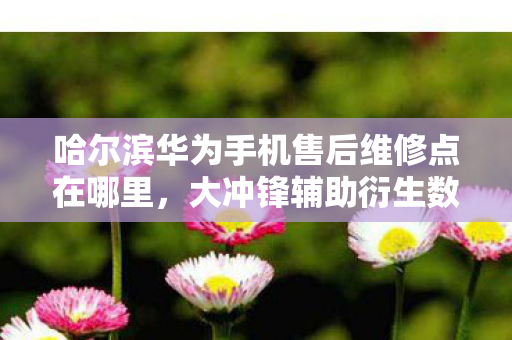 真三国无双联合突袭2，50名玩家亲述，真三MR新作竟藏时间悖论？网吧大神听完直接笑喷