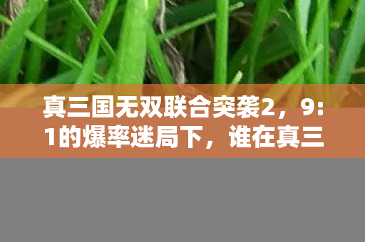 哈尔滨华为手机售后维修点在哪里，90%玩家不知的隐秘比例！大冲锋辅助背后，谁在透支你的热血？
