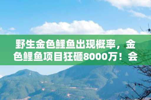 当二次元信仰撞碎三次元钱包的意想不到结局图片