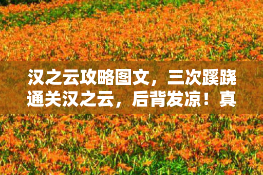汉之云攻略图文，颠覆认知！汉之云攻略冷知识，这些隐藏设定让你目瞪口呆
