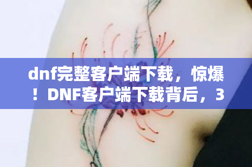 dnf完整客户端下载，2027年再下DNF客户端，伏笔藏了十年，鼻子一酸竟为这行字