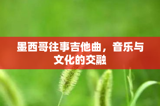 墨西哥往事吉他曲图片