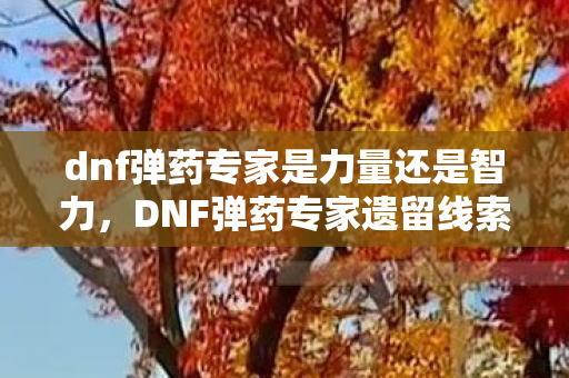 dnf弹药专家是力量还是智力,50位玩家亲述,DNF弹药专家新流派疑云,大神都绷不住的真相竟是? dnf弹药专家是力量还是智力,50位玩家亲述,DNF弹药专家新流派疑云,大神都绷不住的真相竟是?