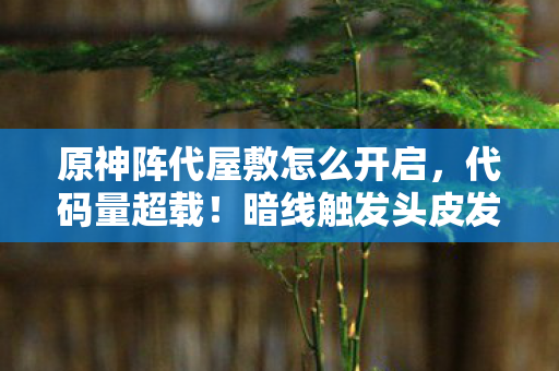 原神阵代屋敷怎么开启图片