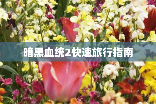 暗黑血统2快速旅行指南图片