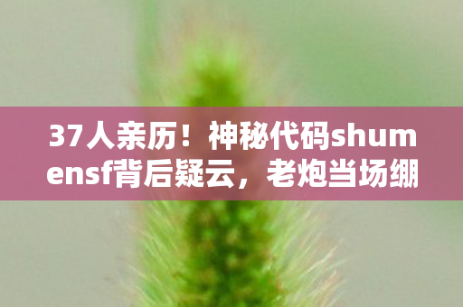 lol补丁下载官网，LOL补丁衍生数破圈！当手办堆满屋时，我冰箱竟藏着意想不到的惊喜