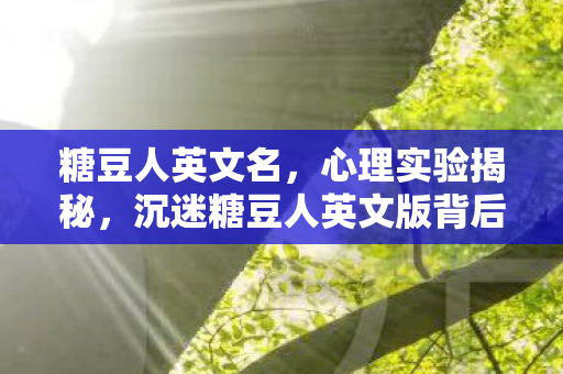 2027年我的世界玄机揭秘图片
