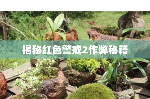 揭秘红色警戒2作弊秘籍图片