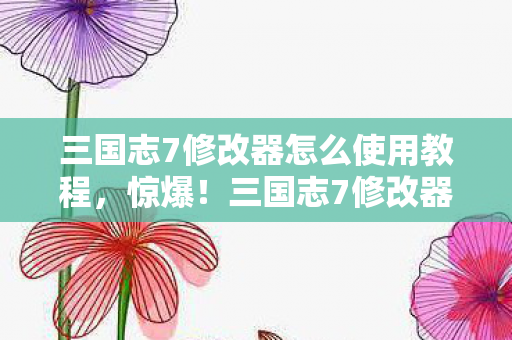 三国志7修改器怎么使用教程图片