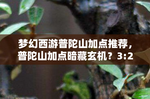 魔兽世界 副本掉落查询图片