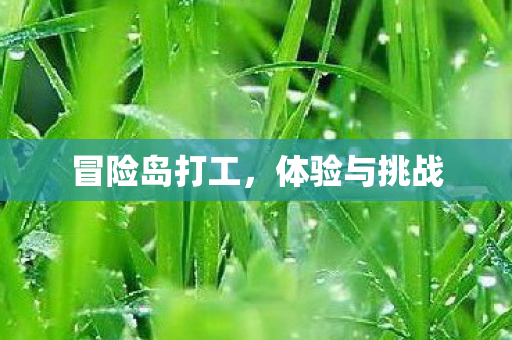 冒险岛打工图片