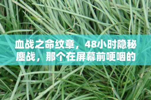 血战之命纹章，48小时隐秘鏖战，那个在屏幕前哽咽的少年，如今只剩登录界面