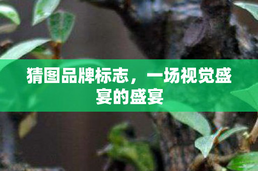 一场视觉盛宴的盛宴图片