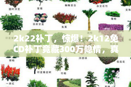 2k22补丁,惊爆!2k12免CD补丁竟藏300万隐情,真相让人吓一跳! 2k22补丁,惊爆!2k12免CD补丁竟藏300万隐情,真相让人吓一跳!