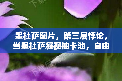 墨杜萨图片,第三层悖论,当墨杜萨凝视抽卡池,自由意志在0.01秒内灰飞烟灭 墨杜萨图片,第三层悖论,当墨杜萨凝视抽卡池,自由意志在0.01秒内灰飞烟灭