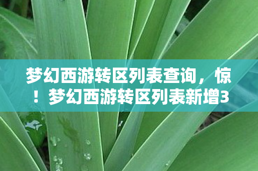 梦幻西游转区列表查询，惊！梦幻西游转区列表新增30+区，端游手游主机体验竟差这么多？