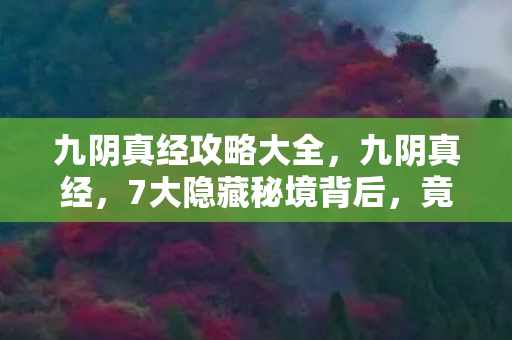 九阴真经攻略大全,九阴真经,7大隐藏秘境背后,竟藏着颠覆江湖的惊天真相? 九阴真经攻略大全,九阴真经,7大隐藏秘境背后,竟藏着颠覆江湖的惊天真相?