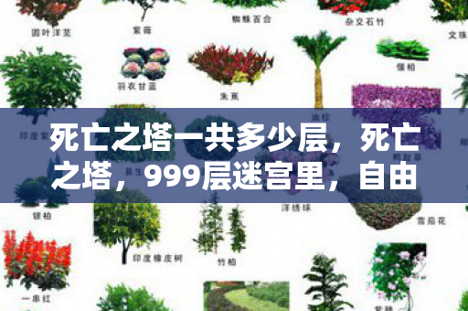 死亡之塔一共多少层,死亡之塔,999层迷宫里,自由意志与宿命齿轮的灵魂震颤 死亡之塔一共多少层,死亡之塔,999层迷宫里,自由意志与宿命齿轮的灵魂震颤
