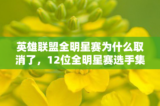 英雄联盟全明星赛为什么取消了，12位全明星赛选手集体泪崩？网吧老炮儿绷不住揭秘幕后真相