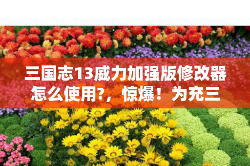 三国志13威力加强版修改器怎么使用?，惊爆！为充三国志13狂砸38万，老婆怒签离婚协议我悔断肠！