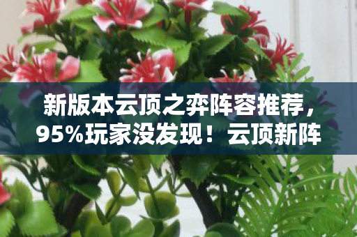 新版本云顶之弈阵容推荐,95%玩家没发现!云顶新阵容端游吃鸡率暴跌,手游主机却封神? 新版本云顶之弈阵容推荐,95%玩家没发现!云顶新阵容端游吃鸡率暴跌,手游主机却封神?