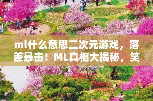 ml什么意思二次元游戏,落差暴击!ML真相大揭秘,笑着骂完,哭着上线 ml什么意思二次元游戏,落差暴击!ML真相大揭秘,笑着骂完,哭着上线