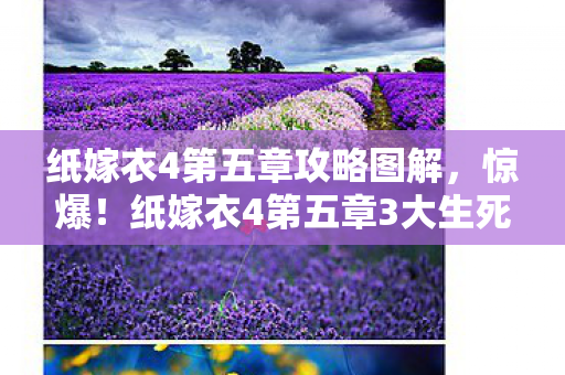 纸嫁衣4第五章攻略图解,惊爆!纸嫁衣4第五章3大生死技巧,99%玩家卡关时泪崩了! 纸嫁衣4第五章攻略图解,惊爆!纸嫁衣4第五章3大生死技巧,99%玩家卡关时泪崩了!