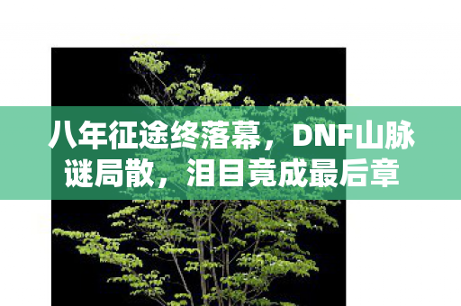 八年征途终落幕，DNF山脉谜局散，泪目竟成最后章