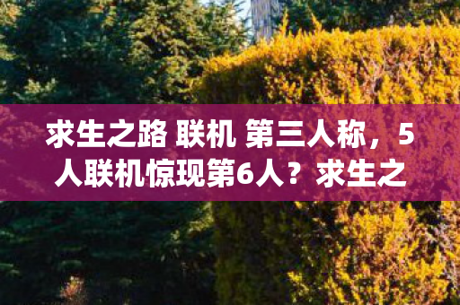 求生之路 联机 第三人称，5人联机惊现第6人？求生之路玩家集体破防，这bug绷不住了！