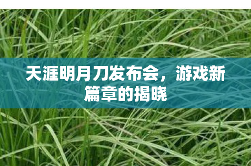 天涯明月刀发布会图片