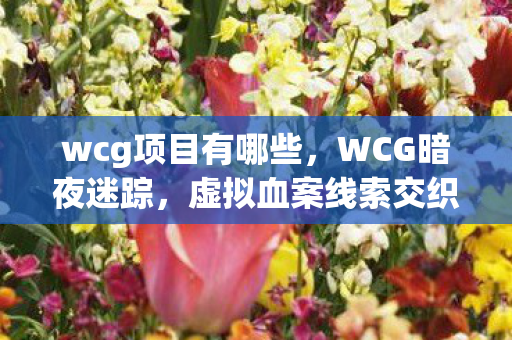 wcg项目有哪些,WCG暗夜迷踪,虚拟血案线索交织,悬案背后毛骨悚然真相 wcg项目有哪些,WCG暗夜迷踪,虚拟血案线索交织,悬案背后毛骨悚然真相