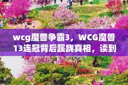 wcg魔兽争霸3，WCG魔兽13连冠背后蹊跷真相，读到结局后背发凉！