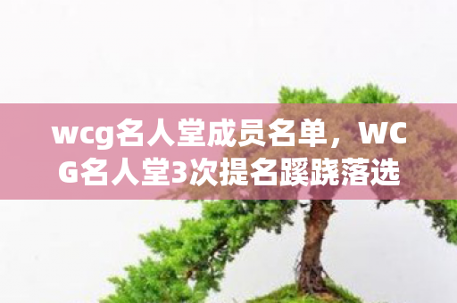 wcg名人堂成员名单,WCG名人堂3次提名蹊跷落选,背后真相让人后背发凉 wcg名人堂成员名单,WCG名人堂3次提名蹊跷落选,背后真相让人后背发凉