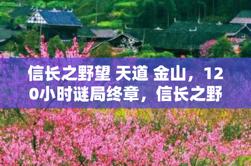 信长之野望 天道 金山，120小时谜局终章，信长之野望天道里那些被数据碾碎的泪目