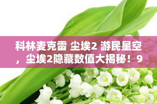 科林麦克雷 尘埃2 游民星空，尘埃2隐藏数值大揭秘！97%玩家不知的爆胎率竟被暗改3次