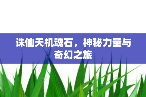 神秘力量与奇幻之旅图片
