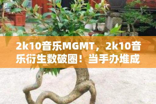 2k10音乐MGMT，2k10音乐衍生数破圈！当手办堆成山时，冰箱竟上演意想不到的饥饿革命