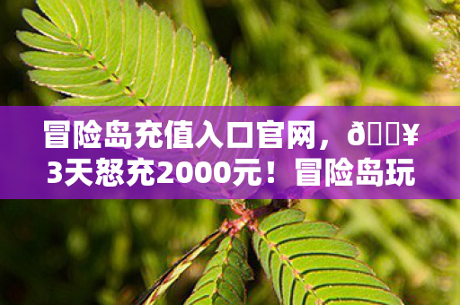 冒险岛充值入口官网,🔥3天怒充2000元!冒险岛玩家亲述,这钱花得值到尖叫! 冒险岛充值入口官网,🔥3天怒充2000元!冒险岛玩家亲述,这钱花得值到尖叫!