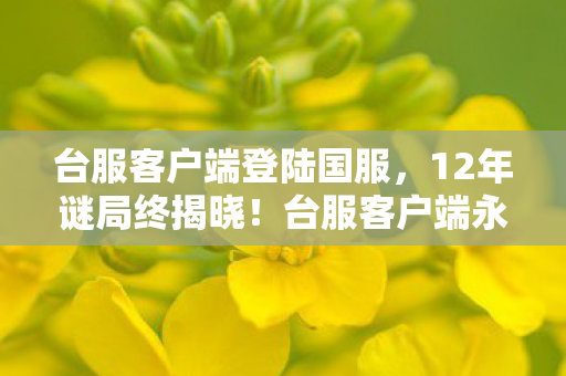 台服客户端登陆国服，12年谜局终揭晓！台服客户端永夜之棺数据坟场泪目实录