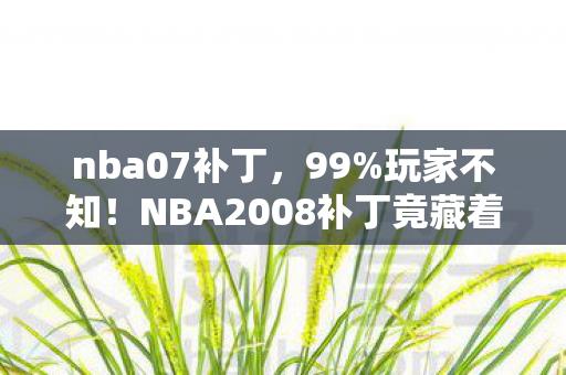 nba07补丁，99%玩家不知！NBA2008补丁竟藏着让2024游戏圈炸裂的秘密？