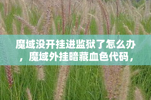 魔域没开挂进监狱了怎么办,魔域外挂暗藏血色代码,离线角色集体复活屠城,谁在操控生死? 魔域没开挂进监狱了怎么办,魔域外挂暗藏血色代码,离线角色集体复活屠城,谁在操控生死?