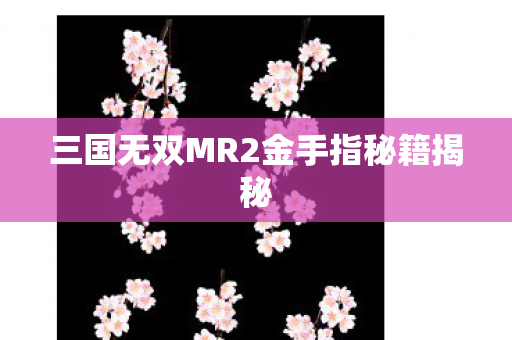 三国无双MR2金手指秘籍揭秘图片