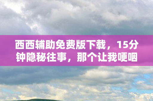 西西辅助免费版下载,15分钟隐秘往事,那个让我哽咽的游戏外挂时代 西西辅助免费版下载,15分钟隐秘往事,那个让我哽咽的游戏外挂时代